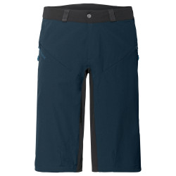 Men's Moab Shorts V