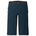 Men's Moab Shorts V