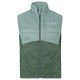 Men's Freney Vest IV